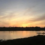 ein rentner sieht sich plötzlich mit landwirtschaftssteuer konfrontiert, obwohl er weder honig produziert noch geld verdient. erfahren sie mehr über diesen unerwarteten fall.